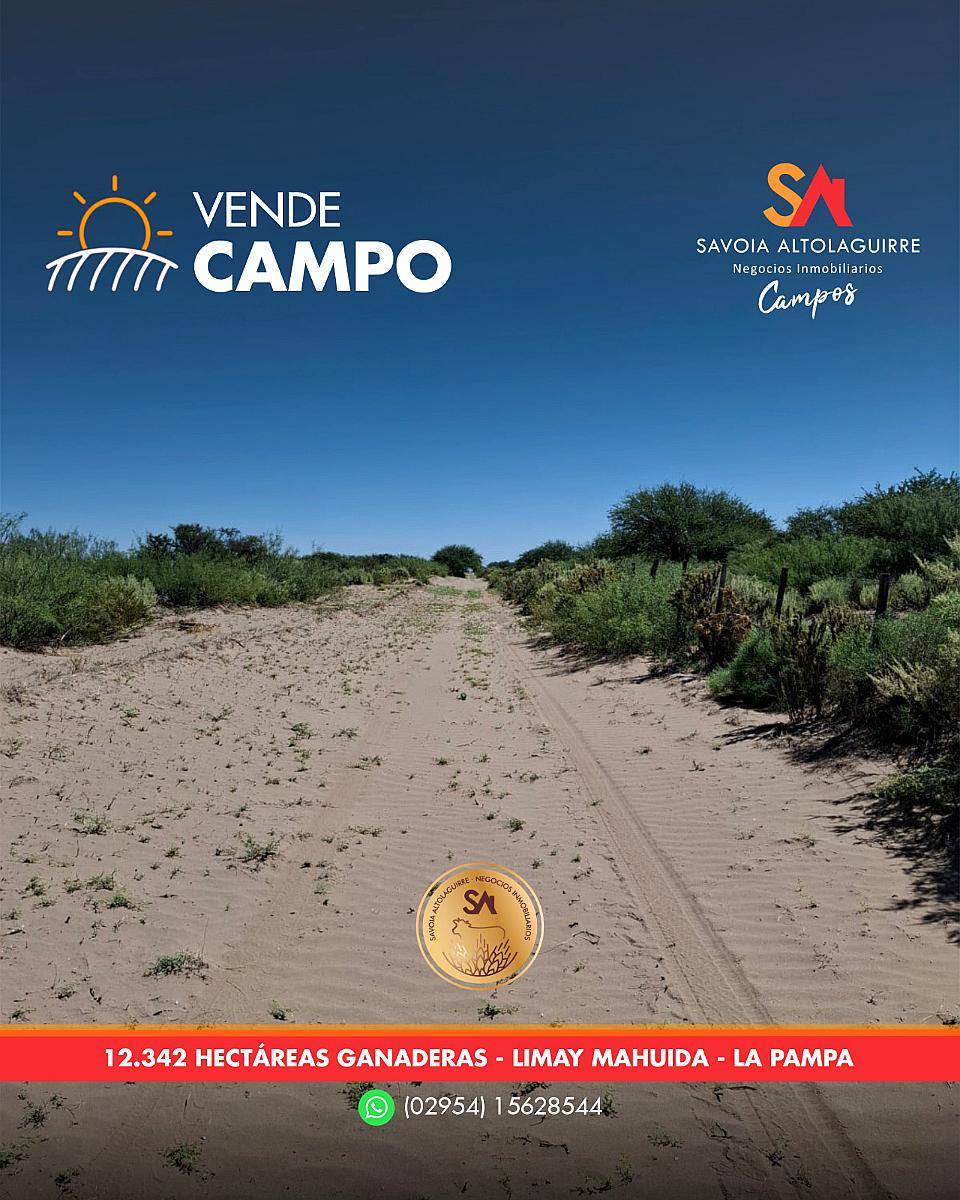 Vende: Campo de 12.342 Hectáreas, Limay Mahuida, la Pampa