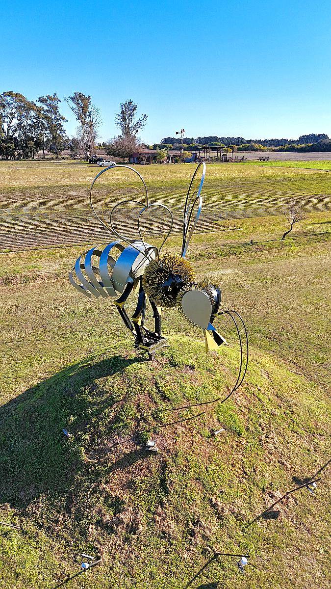 Campo de Privilegio con Excelentes Mejoras