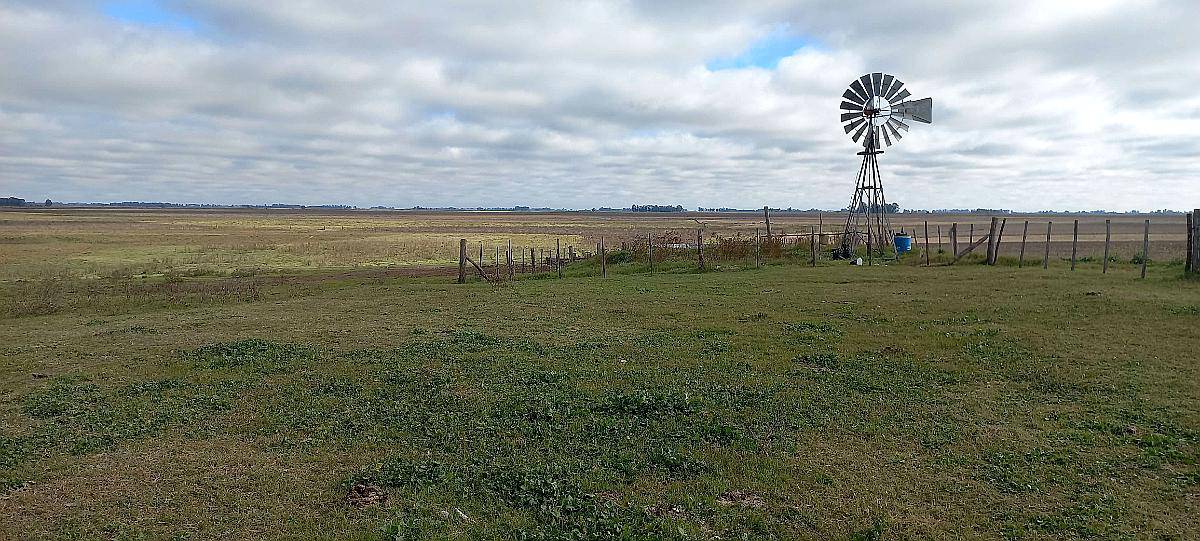 300 Has Mixtas Gral Viamonte