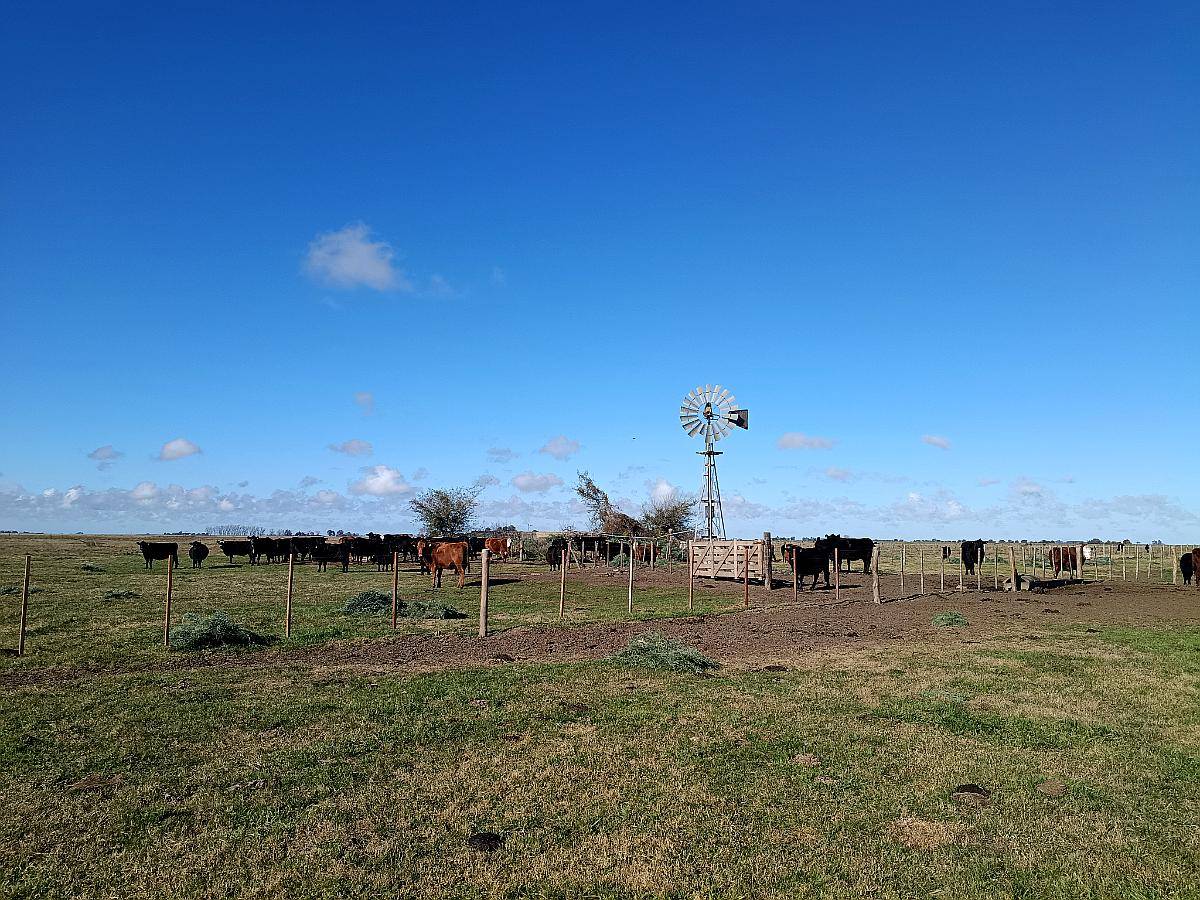 470 Ha Ganadero Chascomus