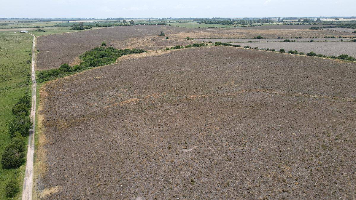 115 Hectáreas Agrícolas Sobre Ruta, Caseros Entre Ríos.