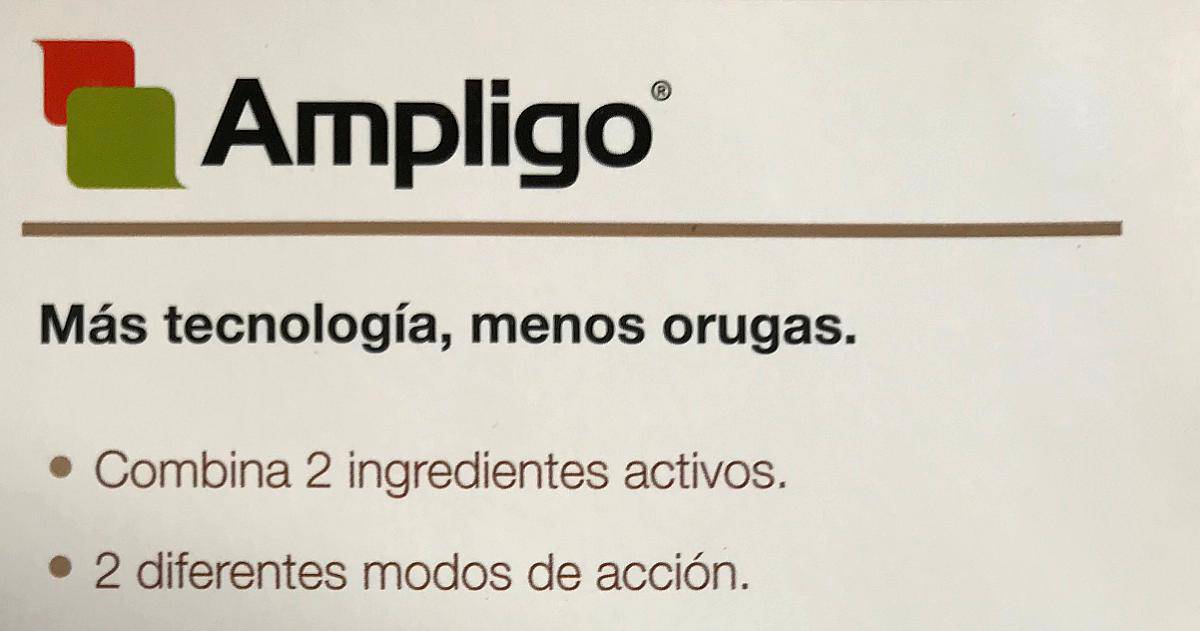 liquido-stock-ampligo-targo-v-flexi-clorimuron-25-agroads