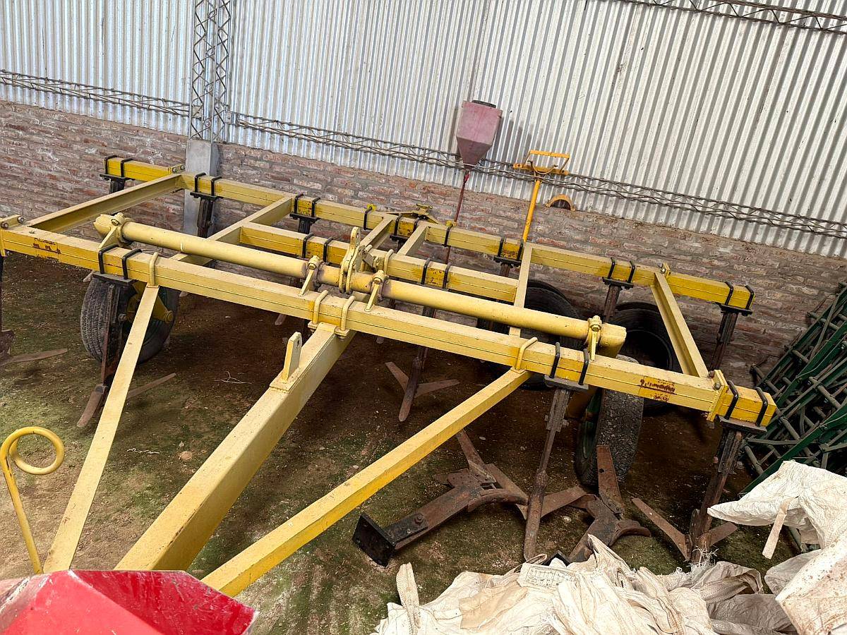 Cincel Chiapanno 13 Púas