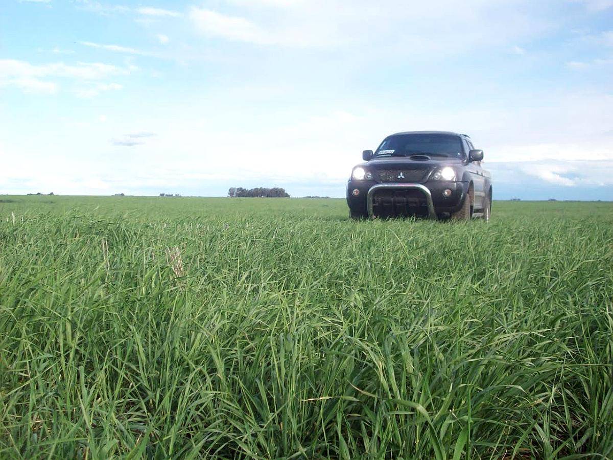 377ha en Teniente Origone Agricolas Financiadas a 3 Años