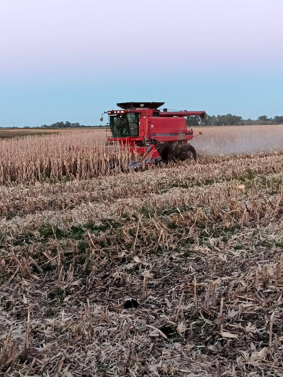 Cosechadora Case 2388 2009 muy Buen Estado