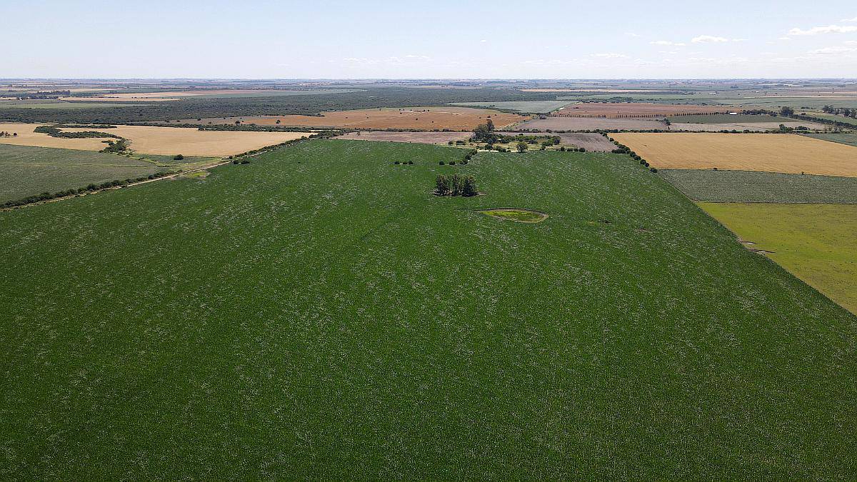 100 Hectáreas Agrícolas, Gualeguaychú.