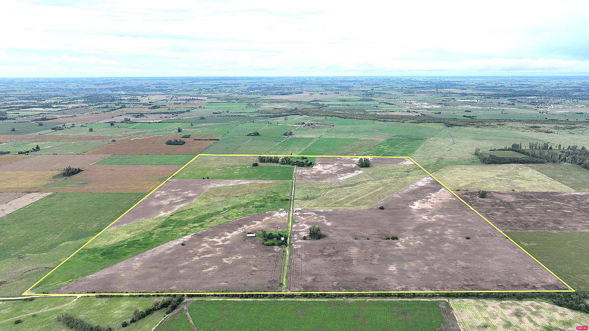 140 Has. Campo Mixto con Mejoras y Arboleda en Mercedes