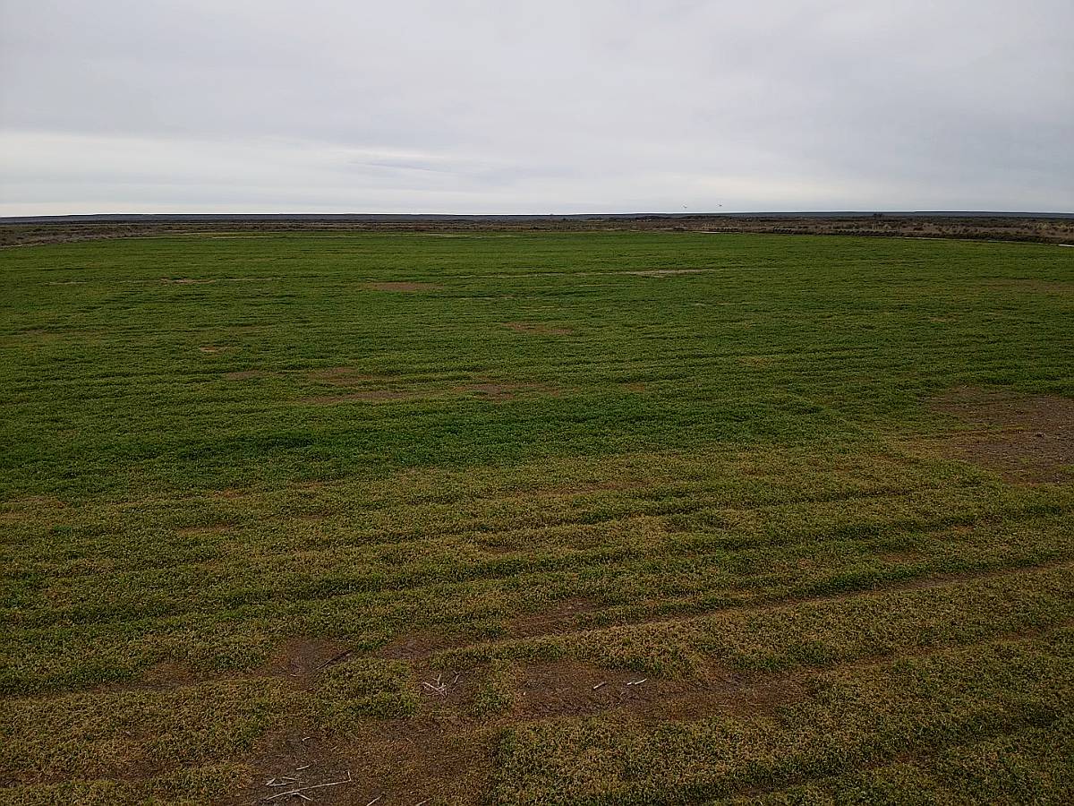 Viedma- 650 Ha - Río Negro