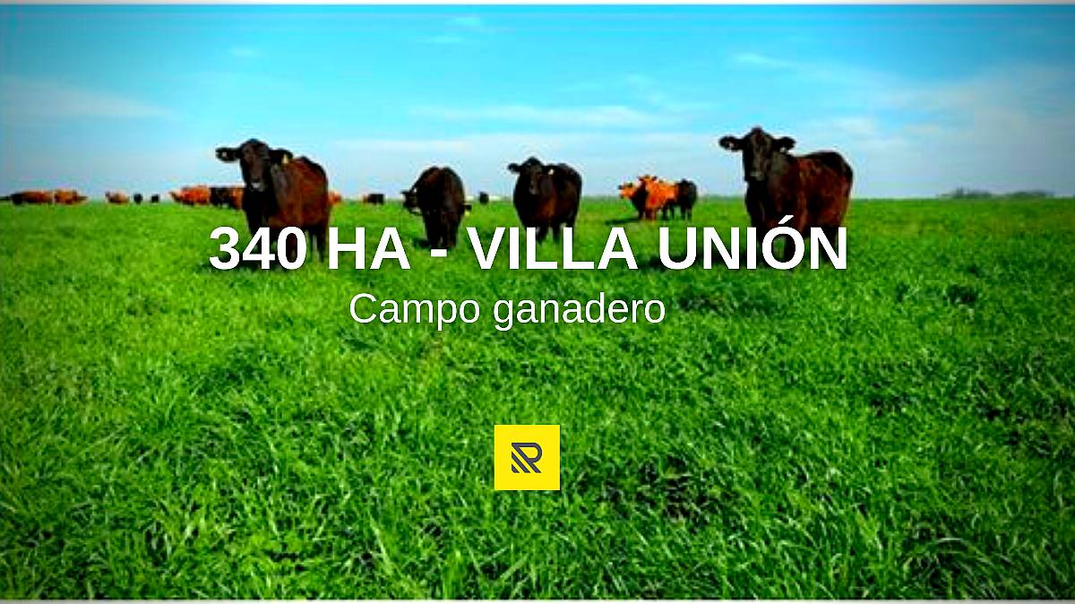 340ha Ganaderas - Villa Unión