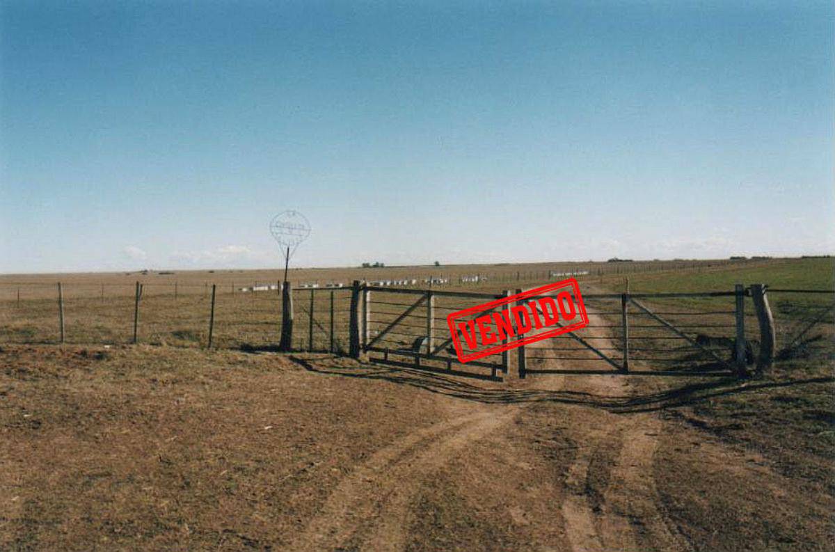 En Venta 300 Has, Gral San Martin, la Pampa.-