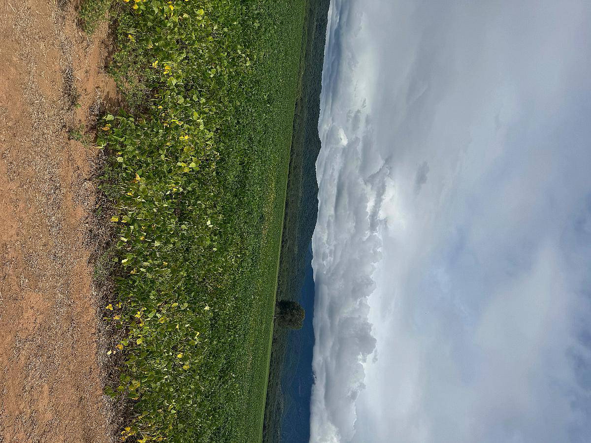 Salta: Campo Orilla Río Juramento