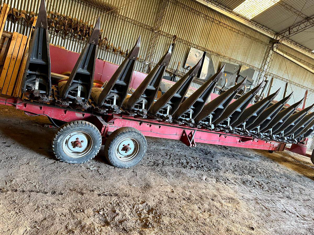 Maicero Mainero Modelo 2008 de 13 a 52