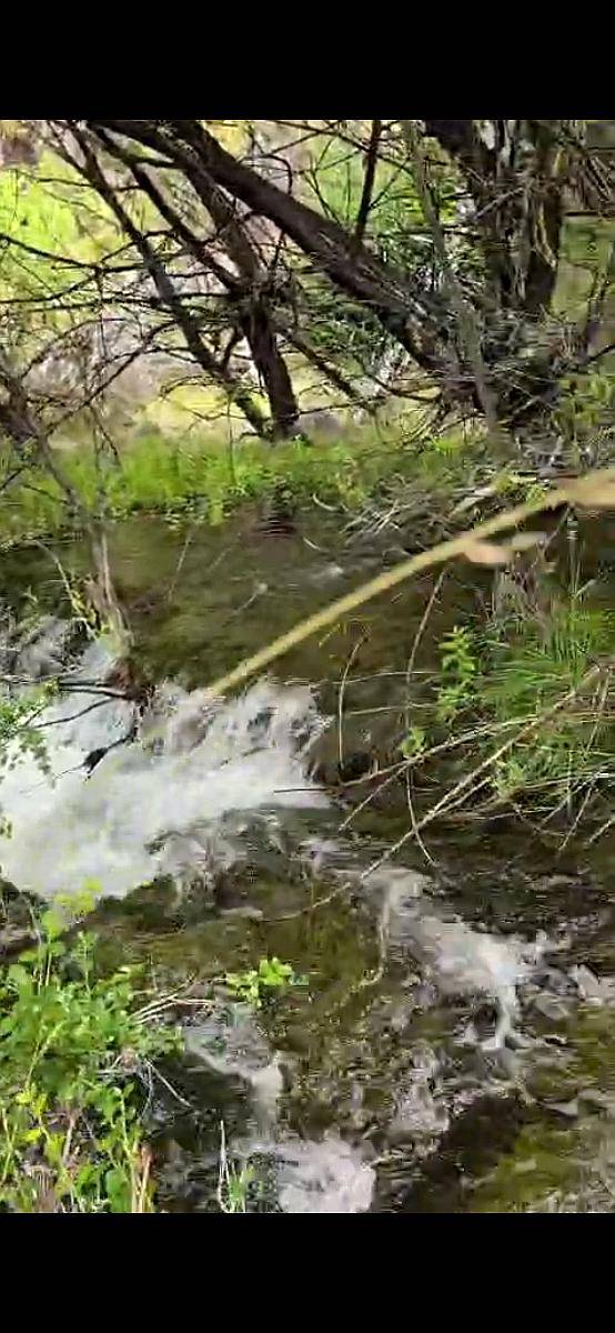 Trevelin, Campo de Precordillera