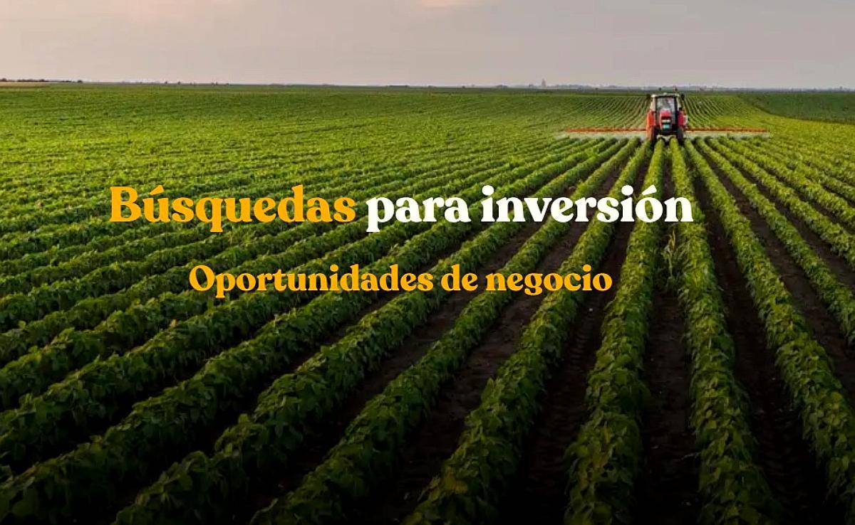 Compramos Campos de 100 a 5.000 Ha SUR de Santa FE y Cordoba