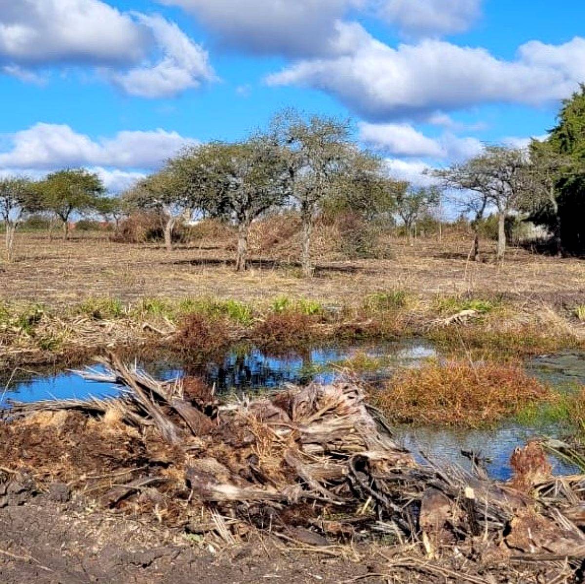 Campito de 1 1/2 Hectárea o Dos Lotes de 7500 M2
