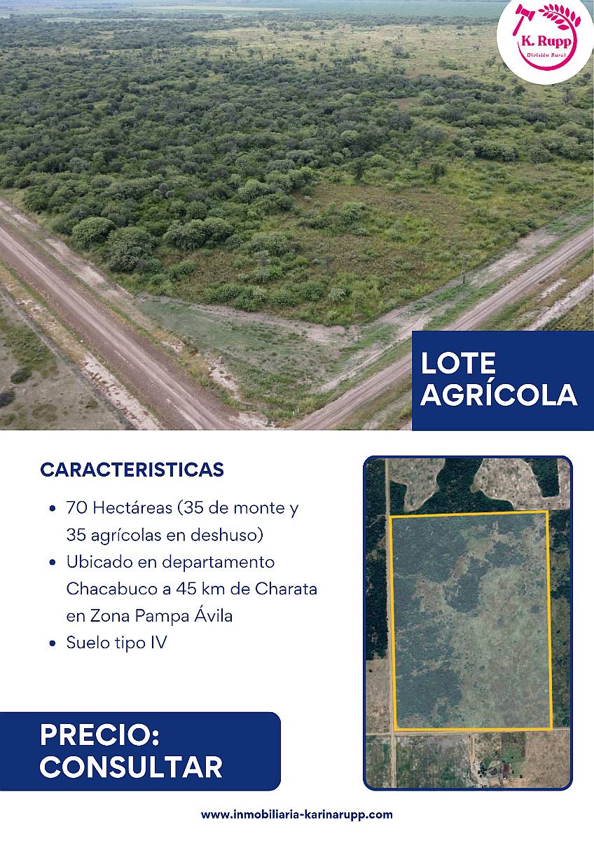 Campo - Lote de 70 Hectáreas en Zona Charata Chaco
