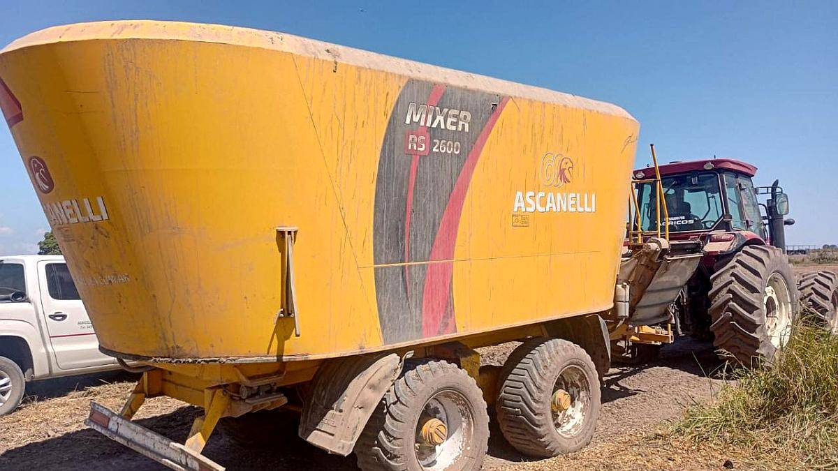 Mixer Vertical Ascanelli RS2600