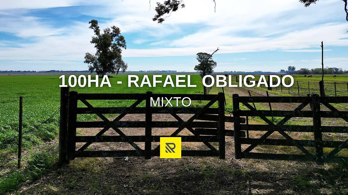 100ha. Rafael Obligado. Mixto.