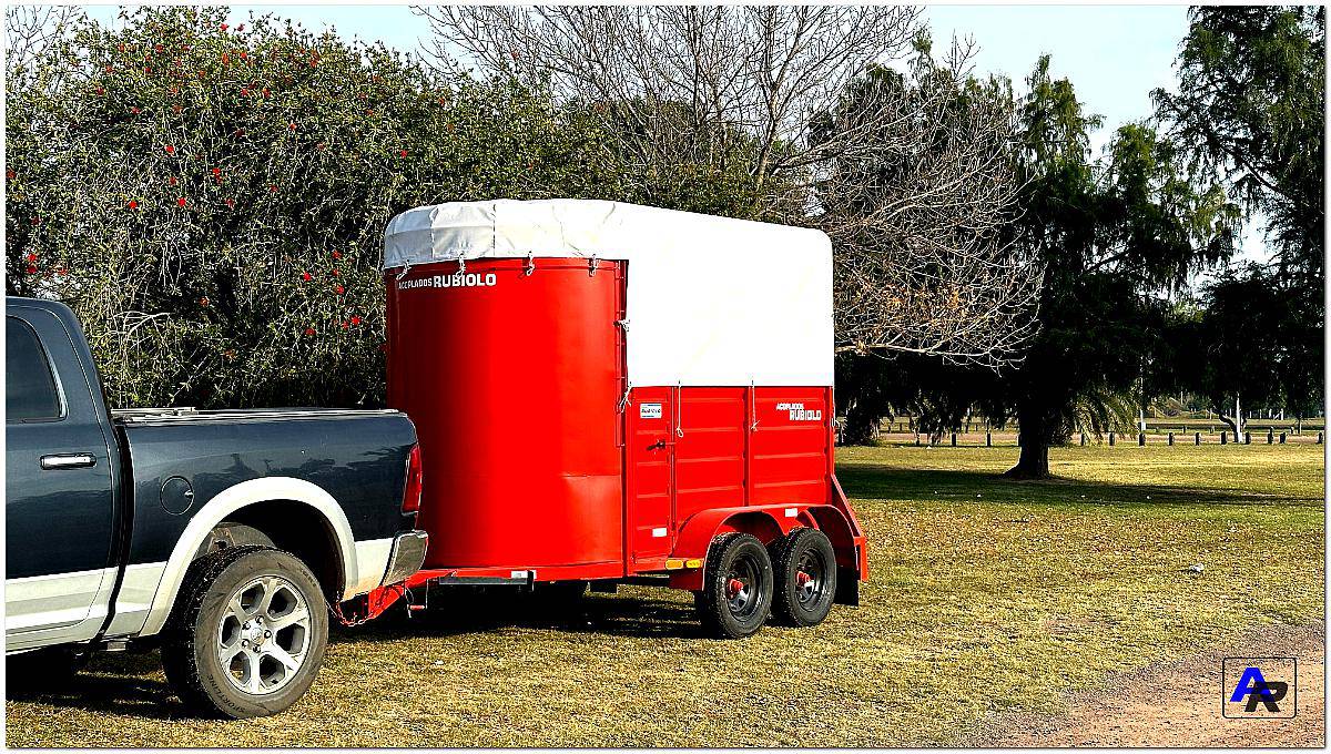 Trailer Homologado para Caballos (ja1009-s)