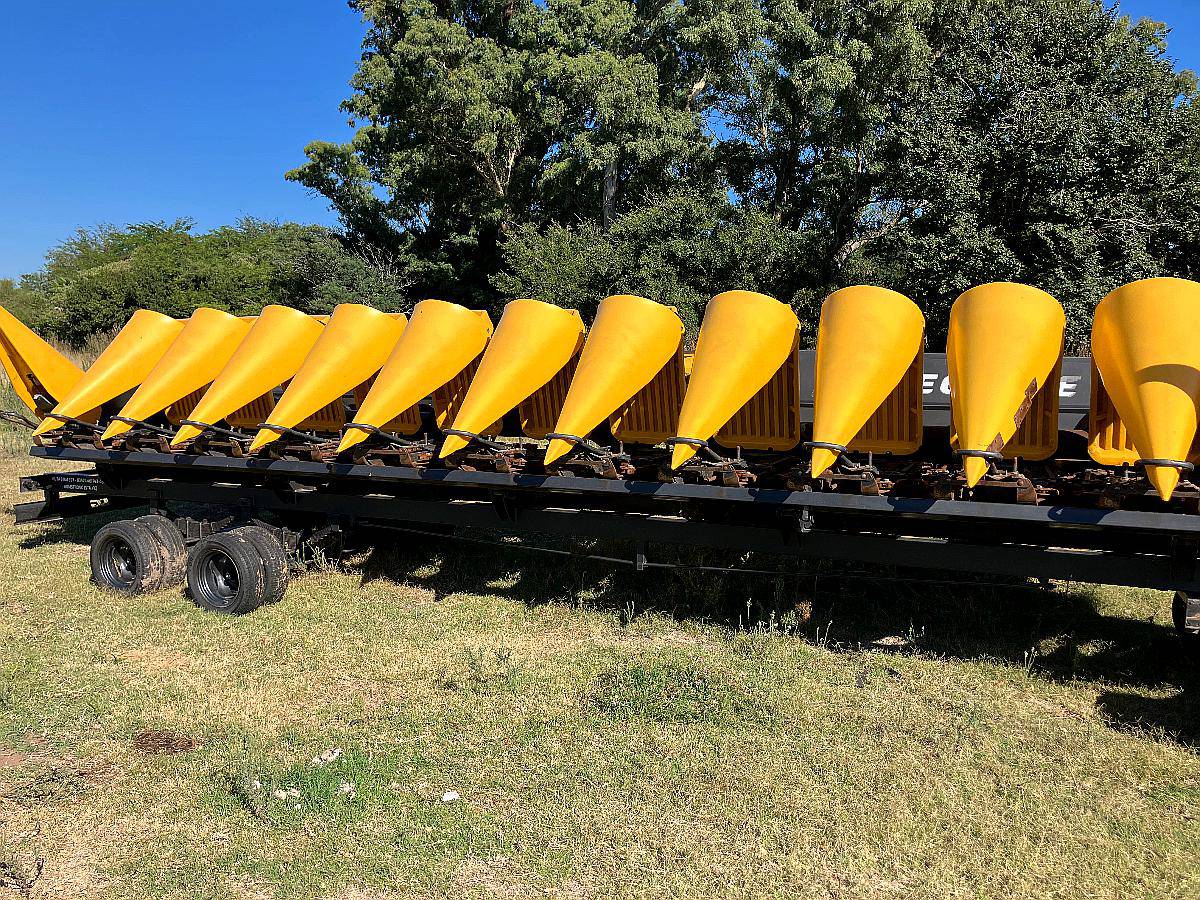 De Grande ED -1410 12 a 70 año 2021