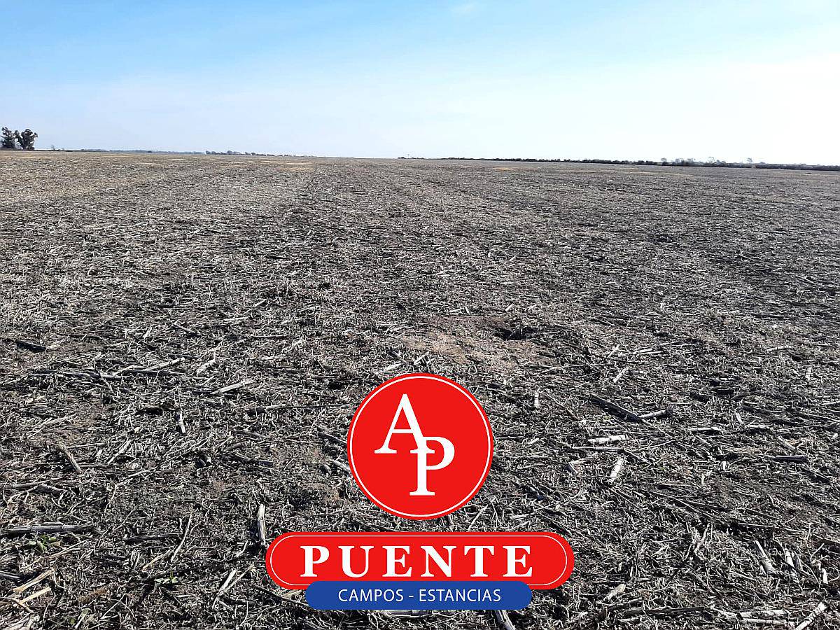 En Venta 300 HA. Metileo, la Pampa