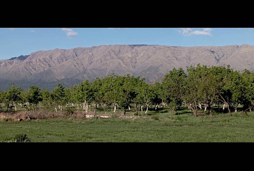 Campo Nogales Merlo San Luis