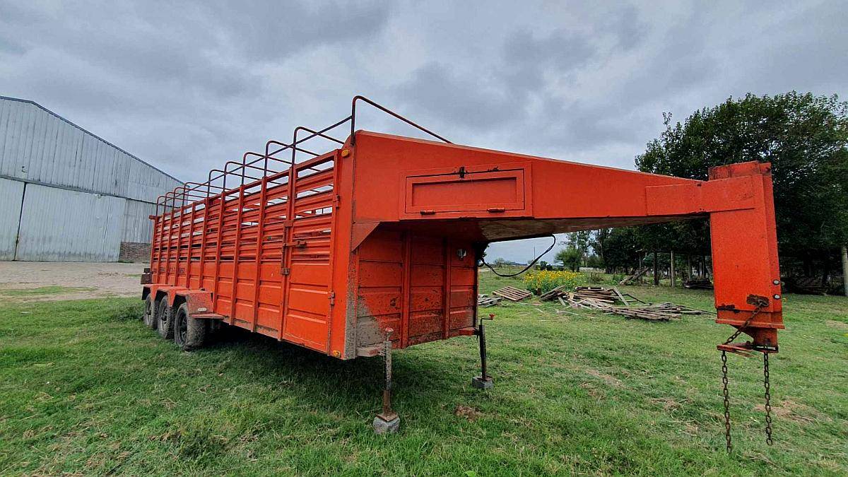 Trailer/carro para Animales. Caballos Ovejas, Corderos, Haci