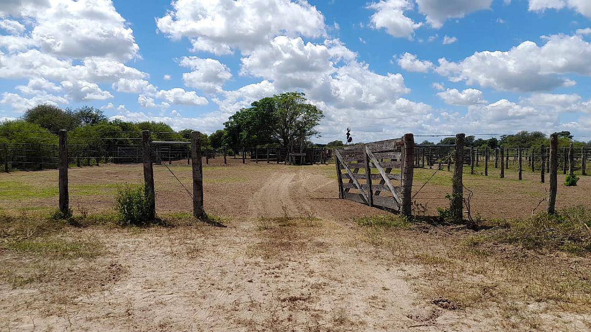 Alejandra - 1200 Has Estancia Ganadera - Altas-ruta 1