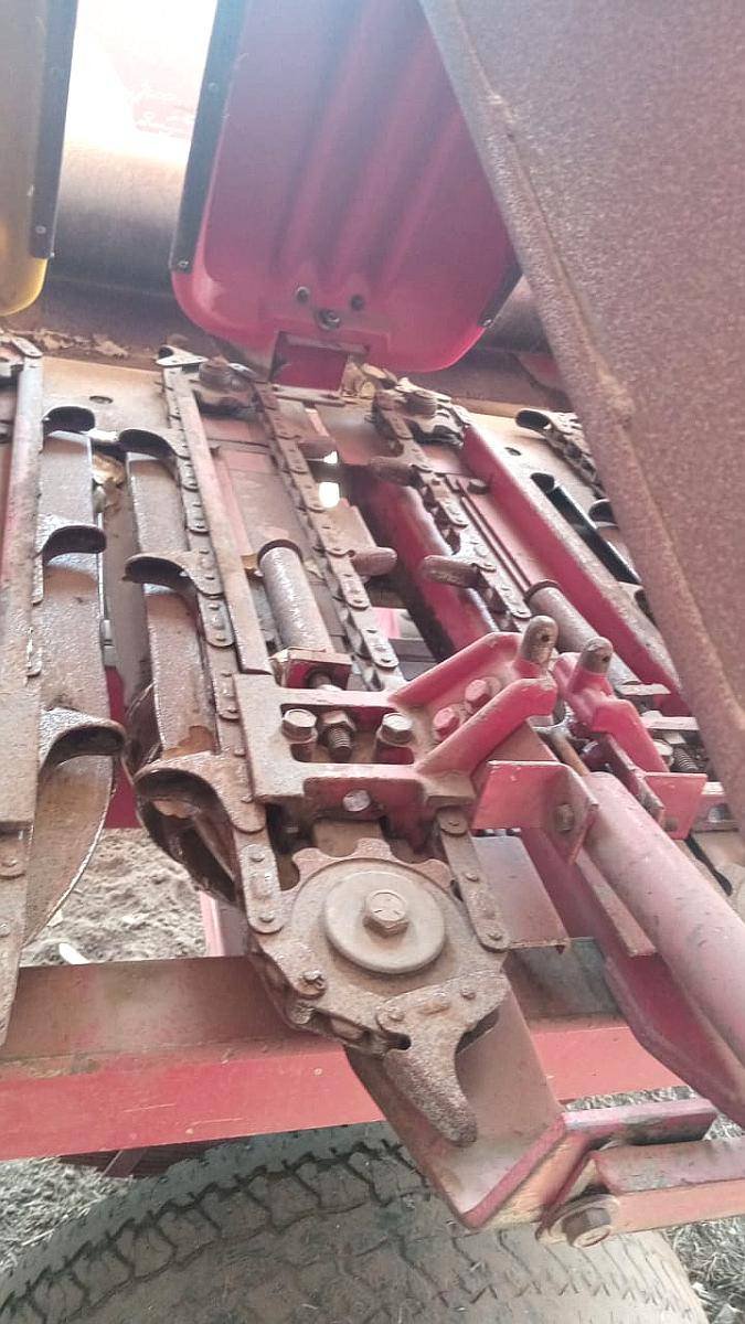 Maicero Ombu de 14 a 52