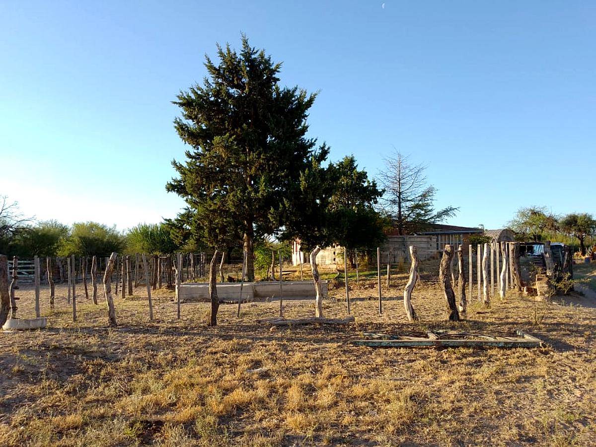 San Geronimo 2.100 Has