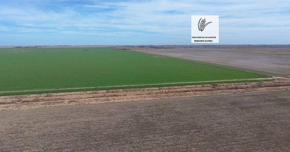 Venta- 100 Has Agricolas