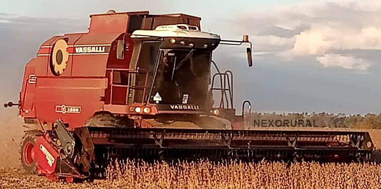 Vassalli 1550 Mod 2006, 9000 Horas