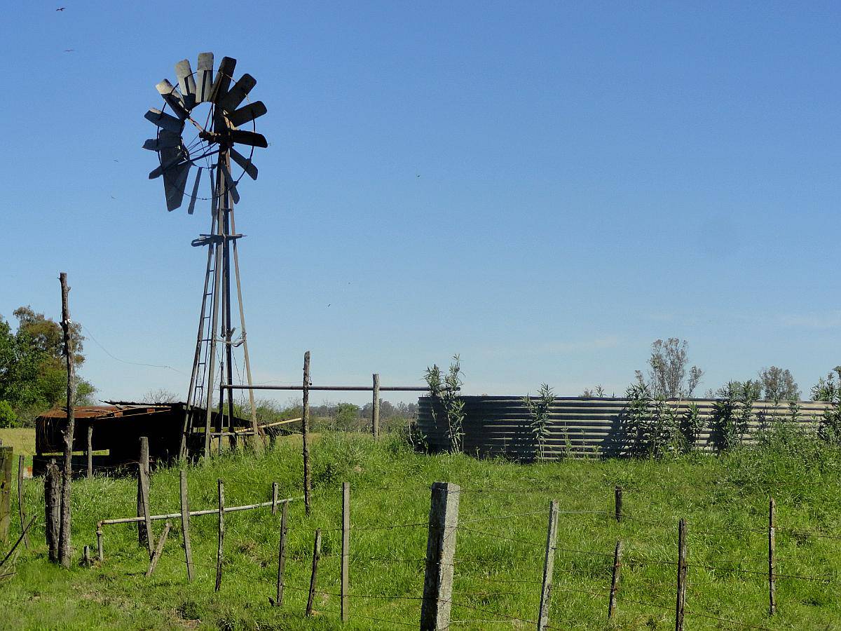 Excelente Campo Ganadero en Coronel Bogado
