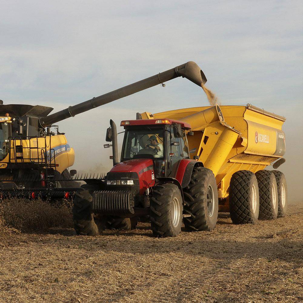 Tolva Autodescargable Ascanelli 33 Toneladas