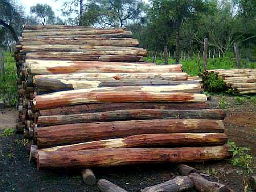 Postes Itin Quebracho Colorado