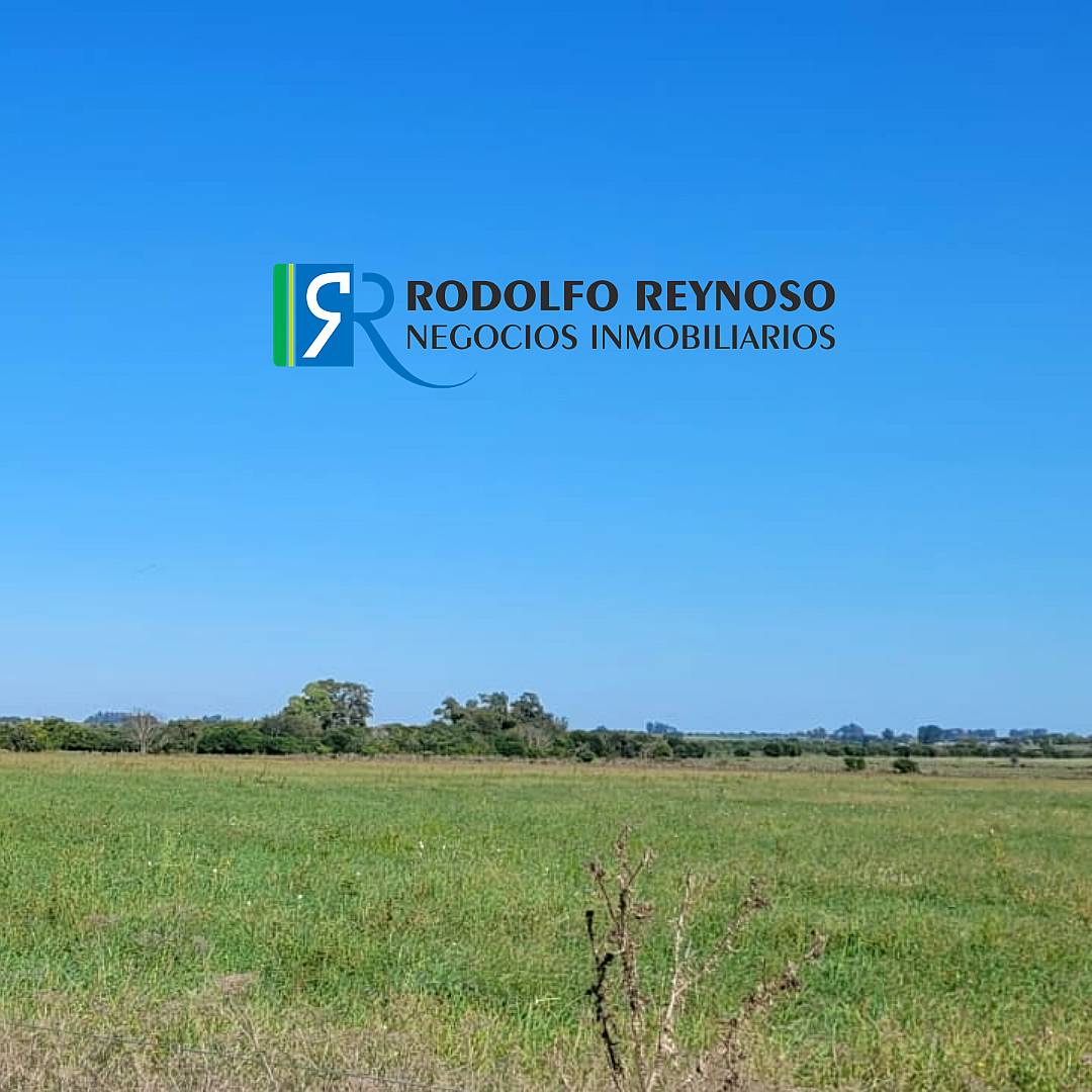 22 HA. en Villa Elisa - Entre Ríos