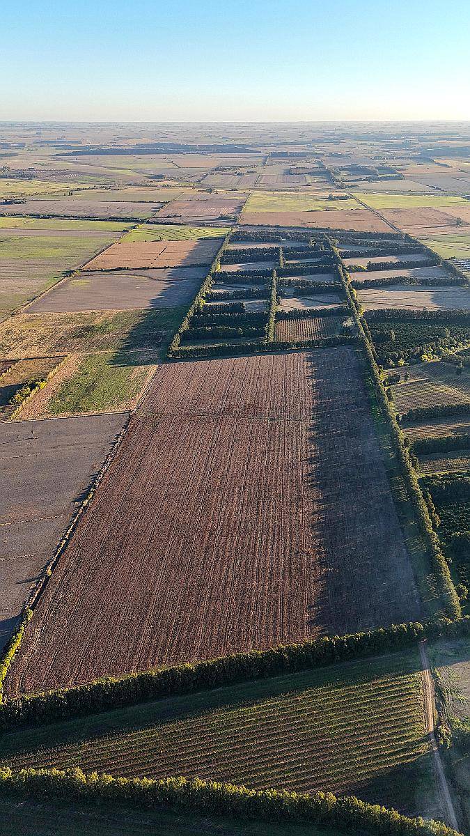 Oportunidad Campo de 31 Hectáreas Agricola