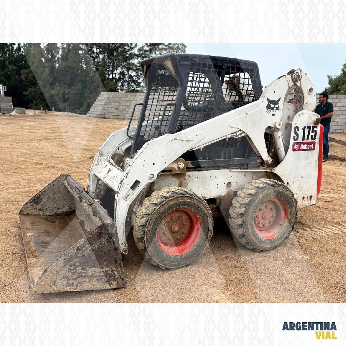 Minicargadora Bobcat S175 (id577)