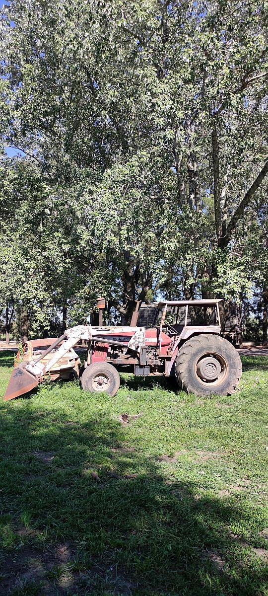 Massey Ferguson 1195 .