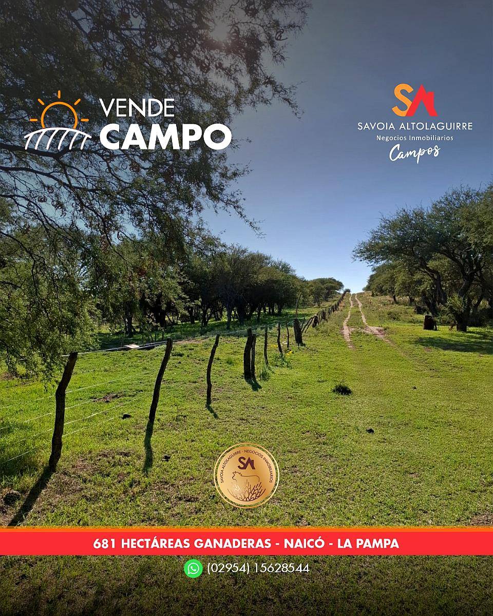 Vende: Campo Mixto de 681 Hectáreas en Naicó, la Pampa