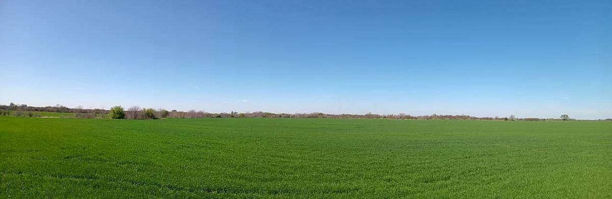 8 Ha Campo Agrícola.- a Pocos km de Nogoyá
