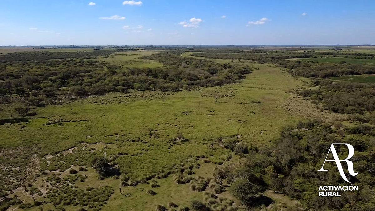 Alquiler Campo Ganadero de 92,56 Ha en Grutly
