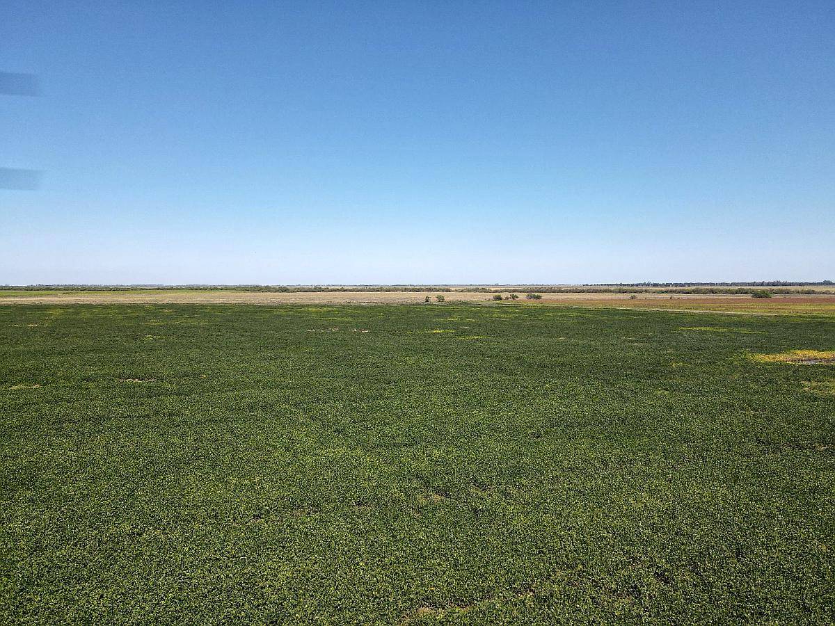 Venta. 174 Has Mixtas en Departamento San Jerónimo.