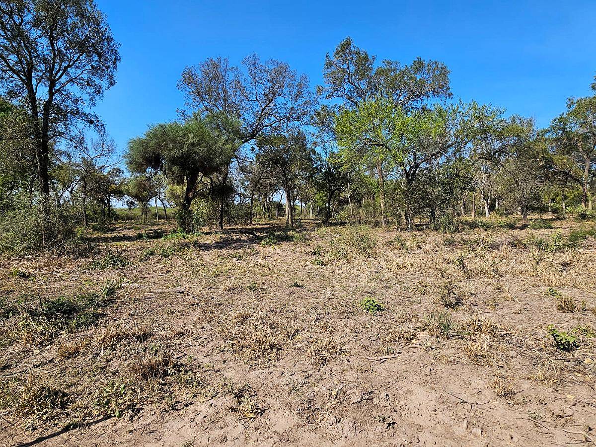 1250ha a 45km de Taco Pozo, Chaco