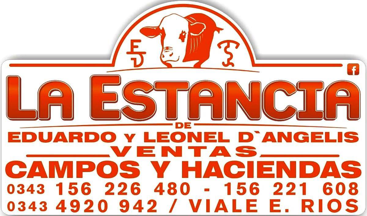 1600 Has Ganaderas en Federal