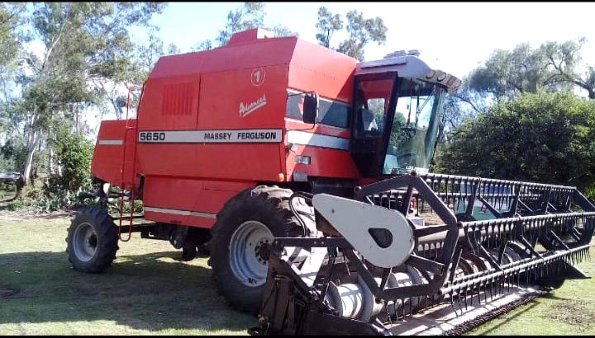 Cosechadora Massey Fergusson 5650, año 2004, 6.500 HS, Plata