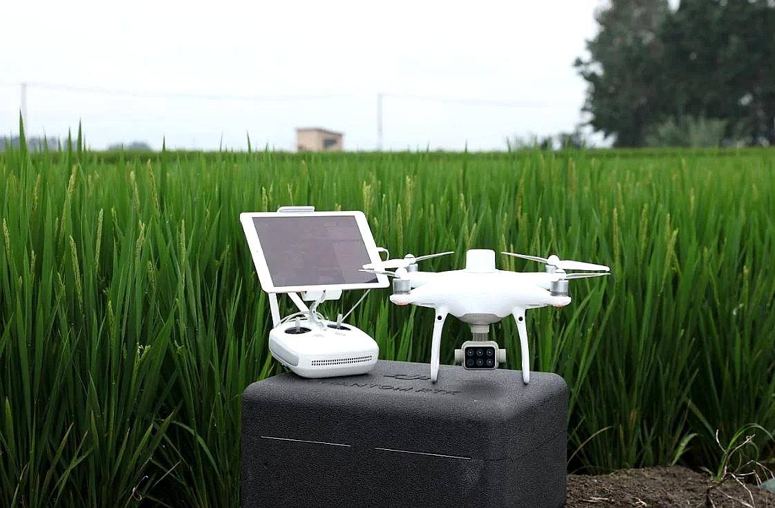 Dron Agrícola Multiespectral DJI P4