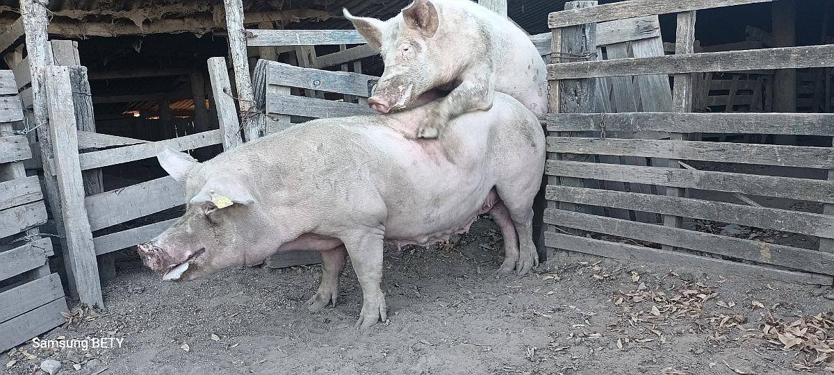 Busco Trabajo Cualquier Trabajo