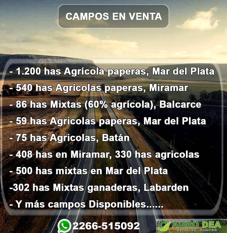 Campos en Venta en el Sudeste de la Provincia de Buenos Aire