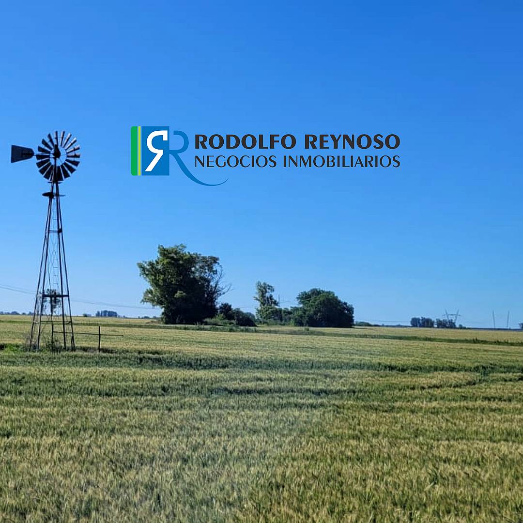 450 HA. Sobre Ruta Prov. N°38